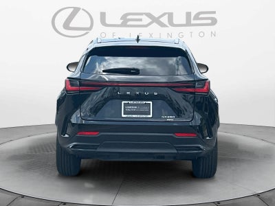 2023 Lexus NX 250 NX 250