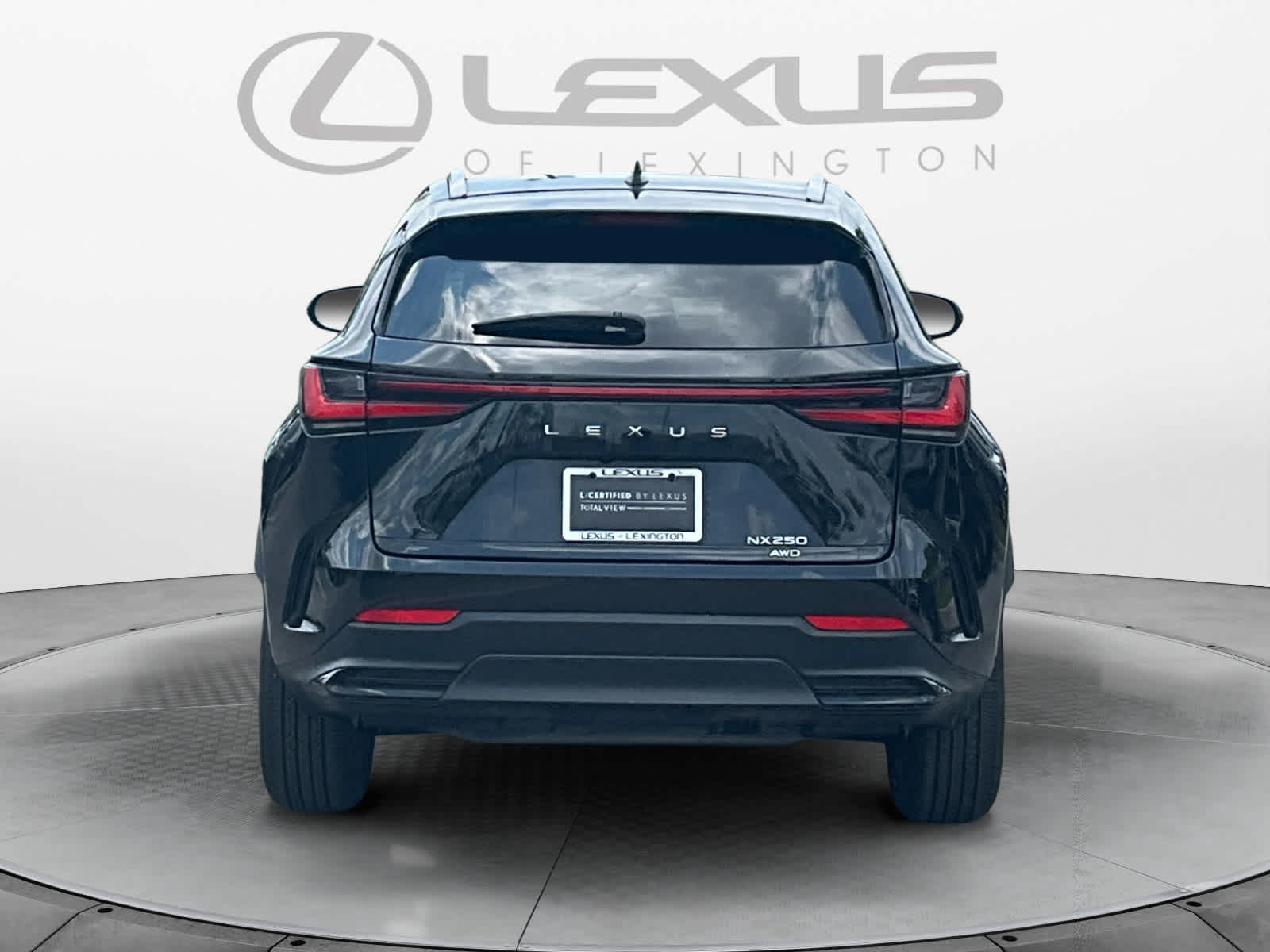 2023 Lexus NX 250 NX 250