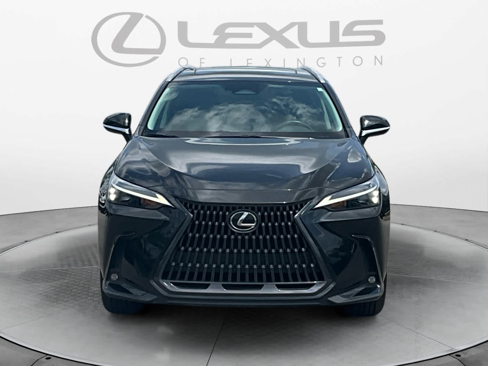 2023 Lexus NX 250 NX 250