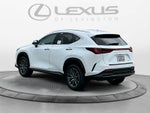 2026 Lexus NX 350 NX 350