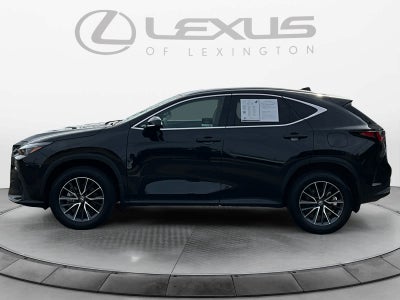 2025 Lexus NX NX 350
