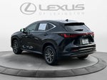 2025 Lexus NX NX 350