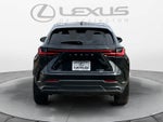 2025 Lexus NX NX 350