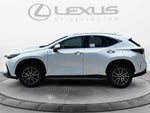 2026 Lexus NX 350 NX 350
