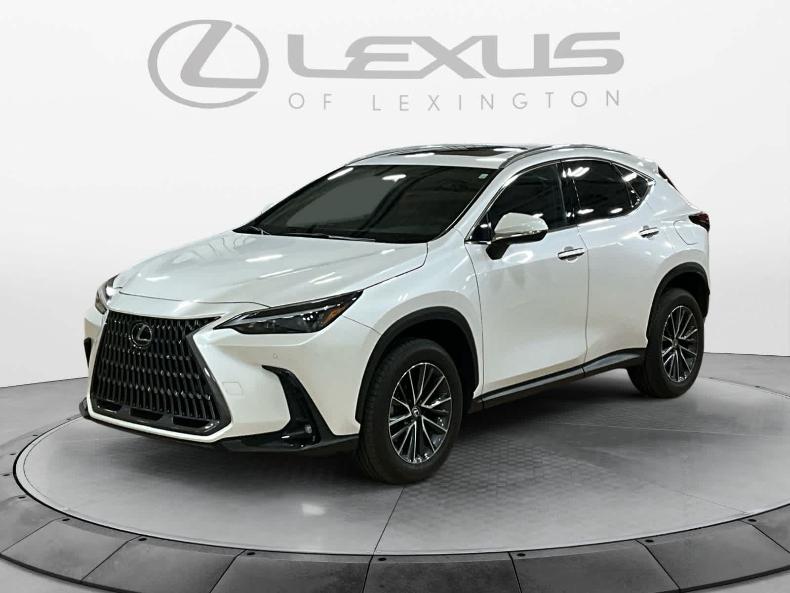 2025 Lexus NX 350 NX 350
