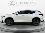 2025 Lexus NX 350 NX 350