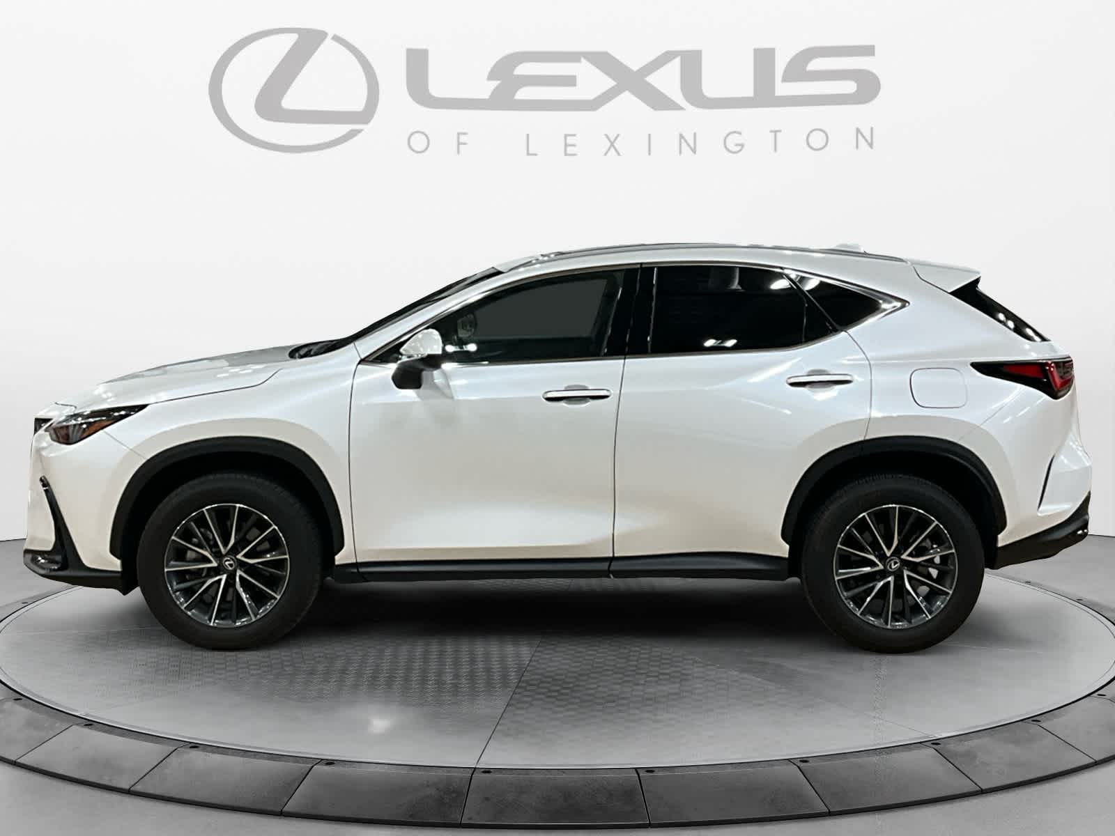 2025 Lexus NX 350 NX 350