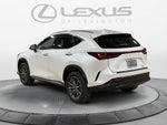 2025 Lexus NX 350 NX 350