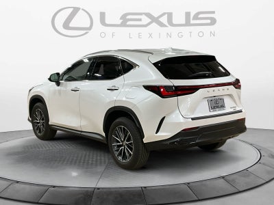 2025 Lexus NX 350 NX 350