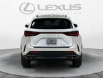 2025 Lexus NX 350 NX 350