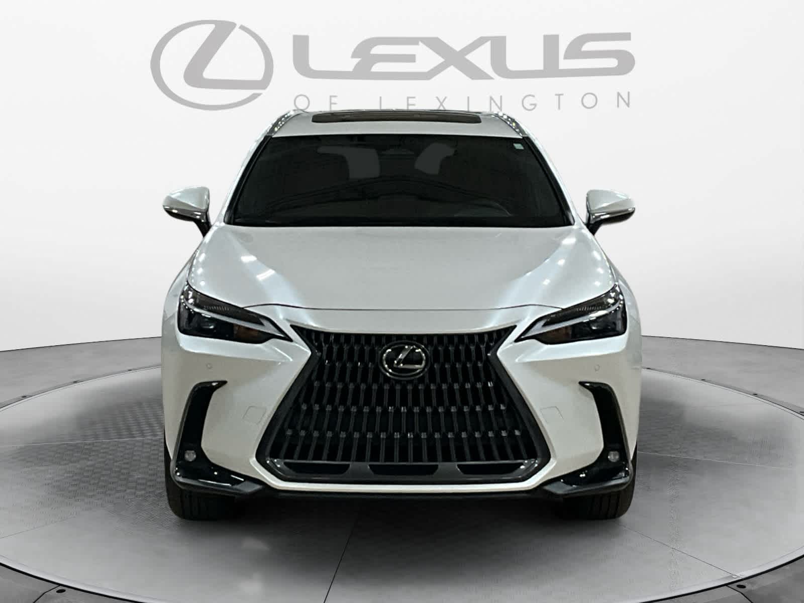 2025 Lexus NX 350 NX 350