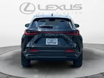 2026 Lexus NX 350 NX 350