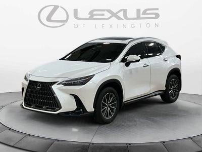 2025 Lexus NX 350 NX 350