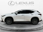 2025 Lexus NX 350 NX 350