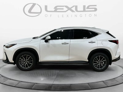 2025 Lexus NX 350 NX 350