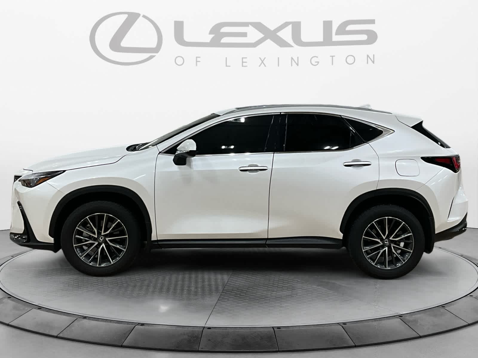 2025 Lexus NX 350 NX 350