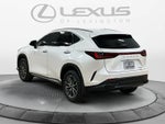 2025 Lexus NX 350 NX 350