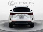 2025 Lexus NX 350 NX 350