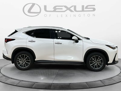 2025 Lexus NX 350 NX 350