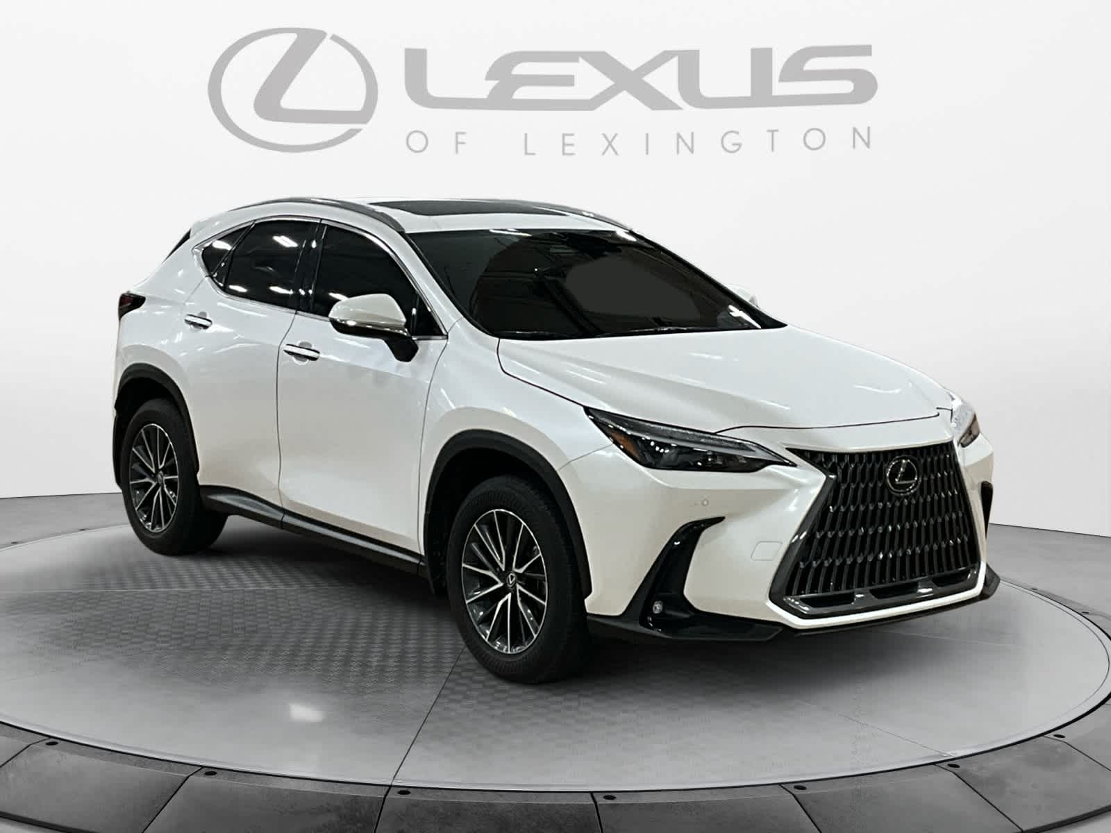 2025 Lexus NX 350 NX 350