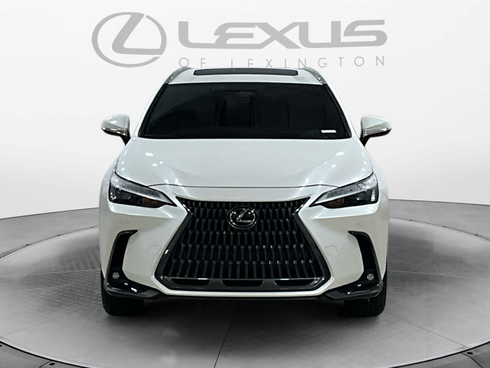 2025 Lexus NX 350 NX 350