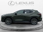 2026 Lexus NX 350 NX 350
