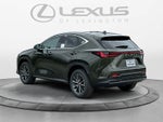 2026 Lexus NX 350 NX 350