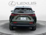 2026 Lexus NX 350 NX 350