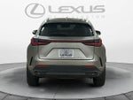 2024 Lexus NX 350 NX 350