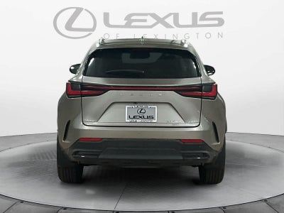 2024 Lexus NX 350 NX 350