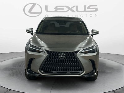 2024 Lexus NX 350 NX 350