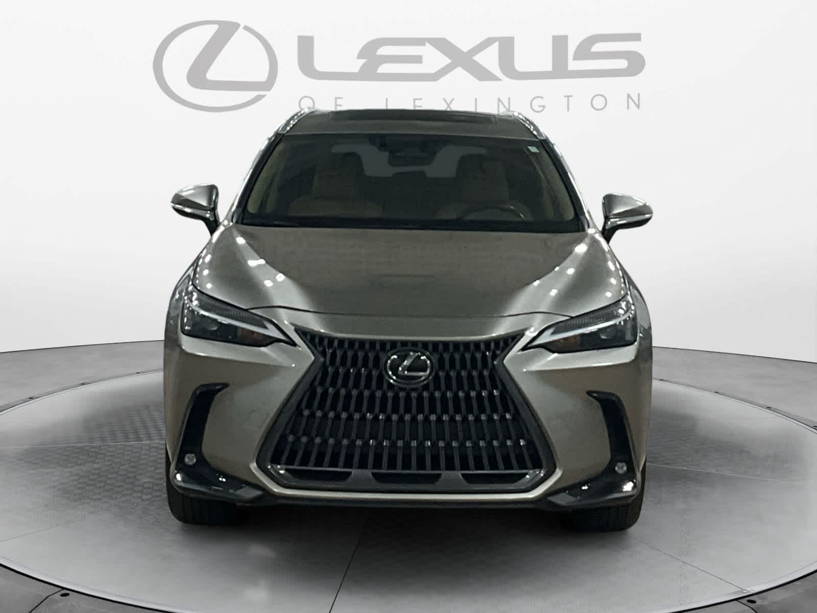 2024 Lexus NX 350 NX 350