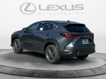 2026 Lexus NX 350 NX 350