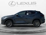 2025 Lexus NX 350h NX 350h