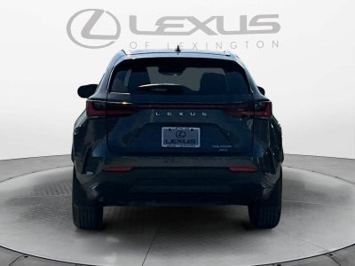 2025 Lexus NX 350h NX 350h
