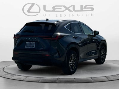 2025 Lexus NX 350h NX 350h