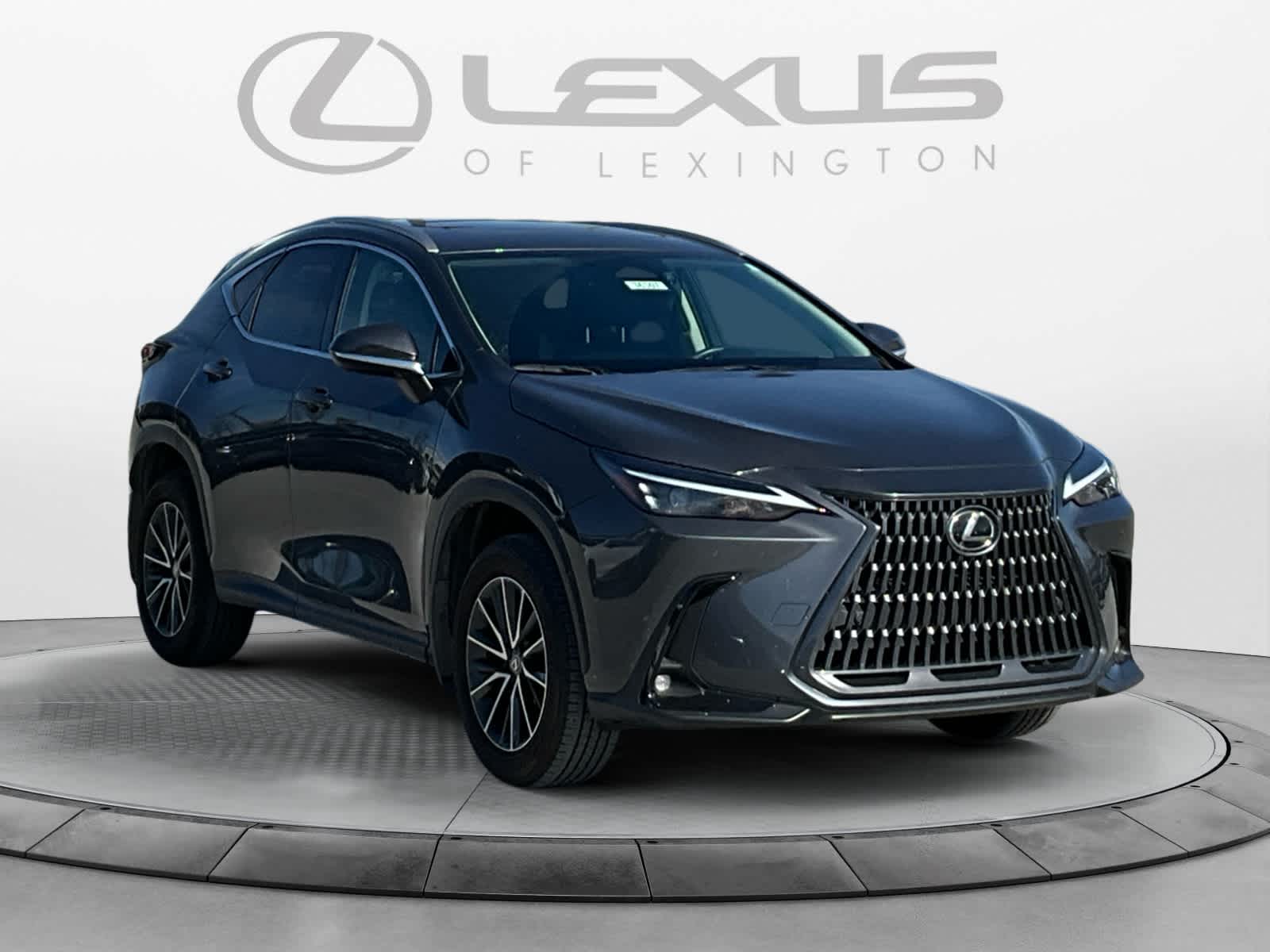 2025 Lexus NX 350h NX 350h