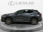 2025 Lexus NX 350h NX 350h