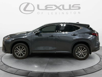 2025 Lexus NX 350h NX 350h