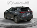 2025 Lexus NX 350h NX 350h