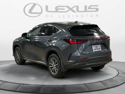 2025 Lexus NX 350h NX 350h