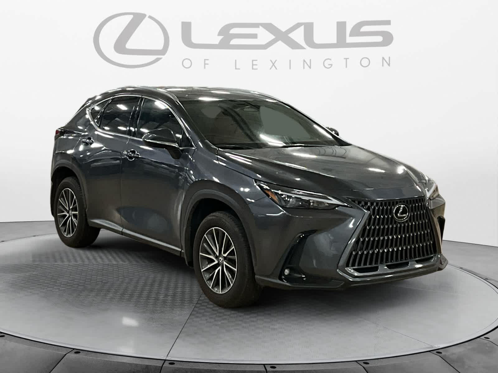 2025 Lexus NX 350h NX 350h