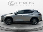 2025 Lexus NX 350h NX 350h