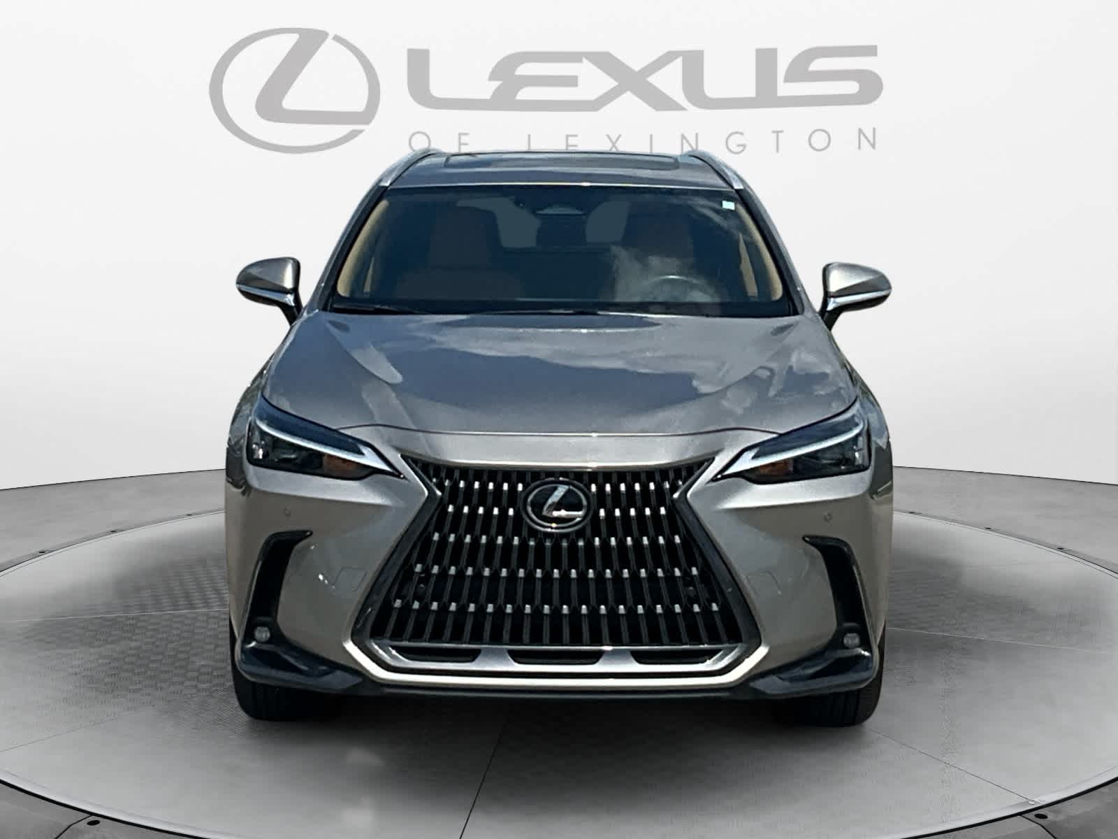 2025 Lexus NX 350h NX 350h
