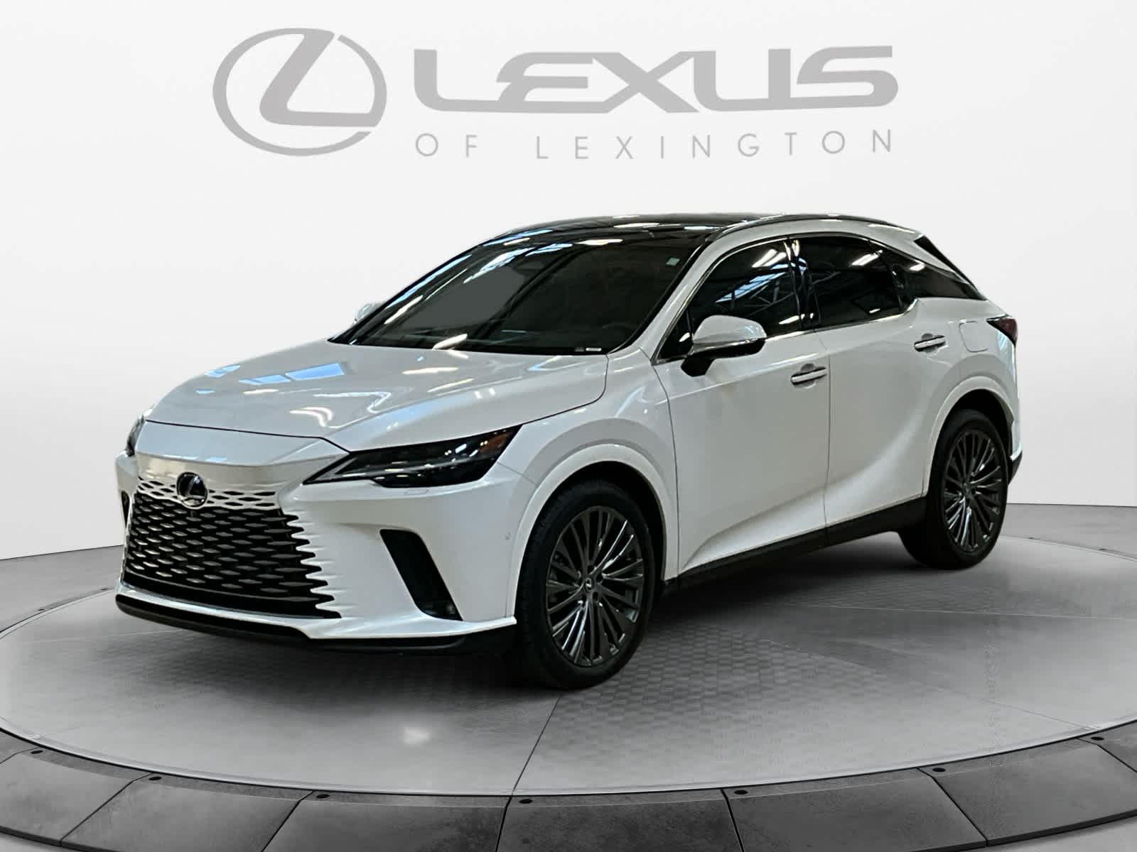 2024 Lexus RX 350 Luxury