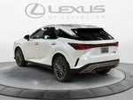 2026 Lexus RX 350 Luxury