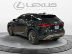 2025 Lexus RX 350 Luxury