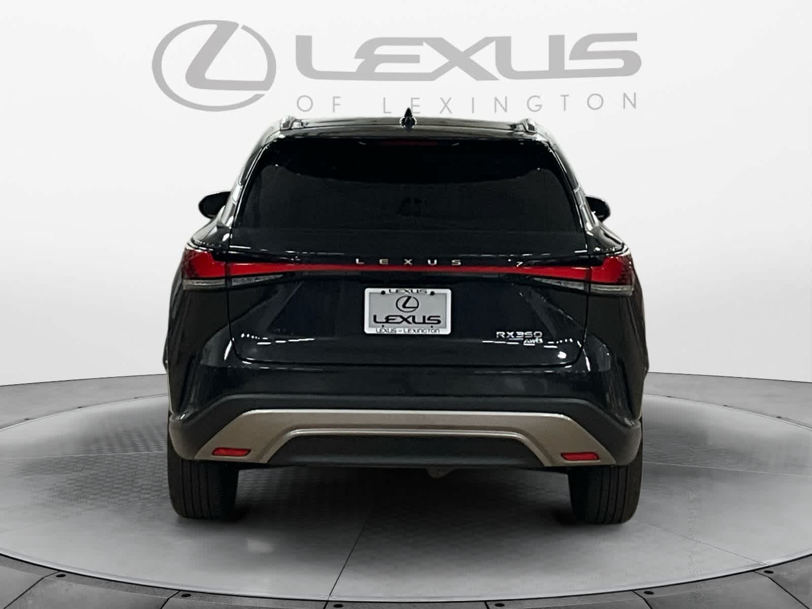 2025 Lexus RX 350 Luxury