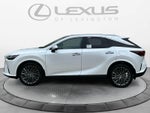 2026 Lexus RX 350 Luxury