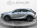 2026 Lexus RX 350 Luxury